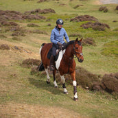 Aubrion by Shires Pull Original Fleece Bleu
