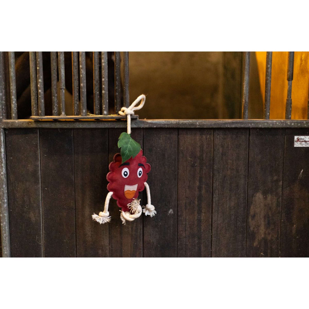 Excellent Horse Foodie Friends Framboise
