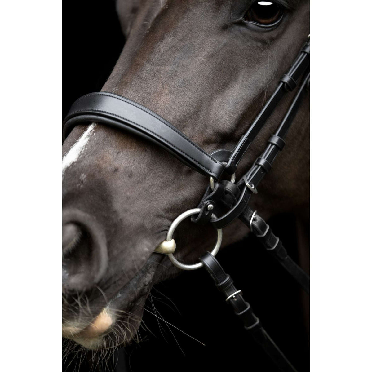 Catago Muserolle Gentle Noir