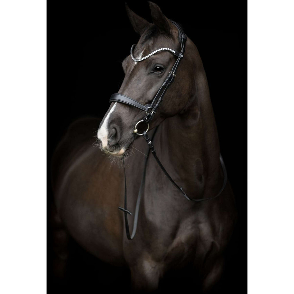 Catago Muserolle Gentle Noir