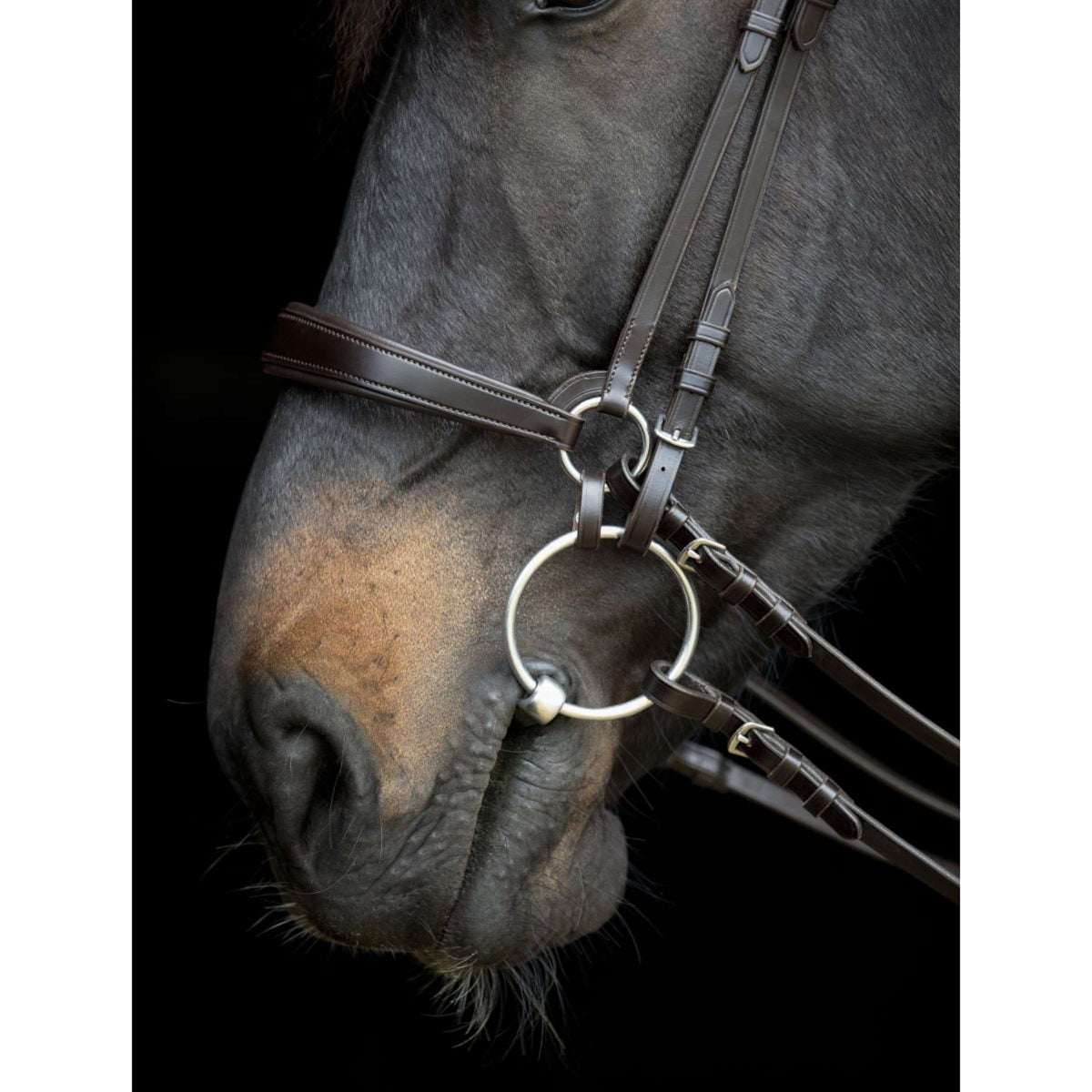 Catago Muserolle Gentle Marron