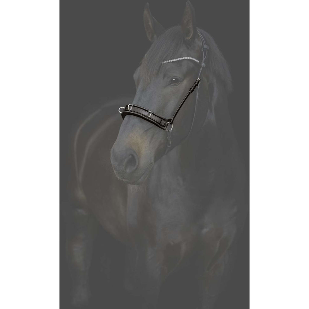 Catago Muserolle Gentle Marron