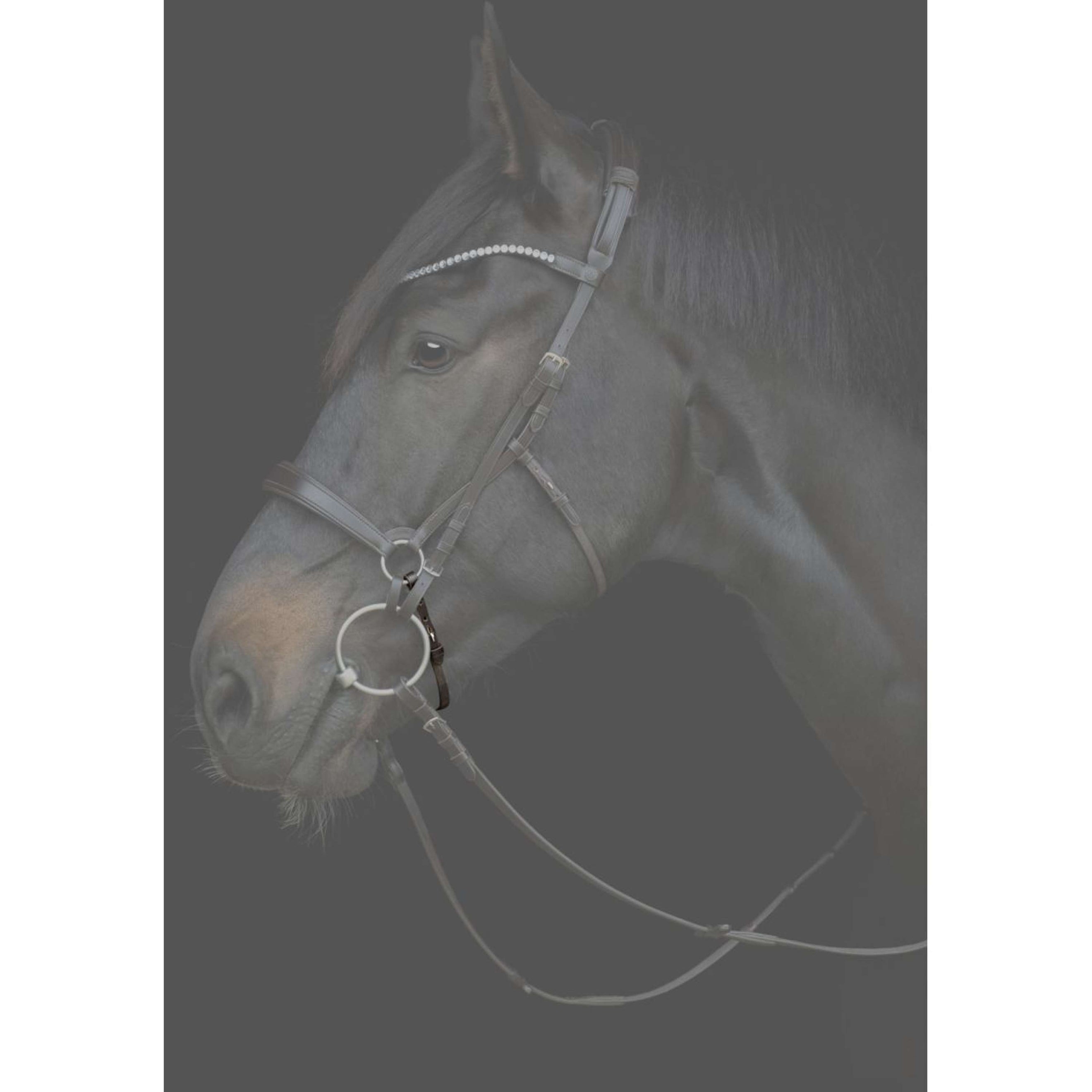 Catago Lanière de Muserolle Gentle Noir