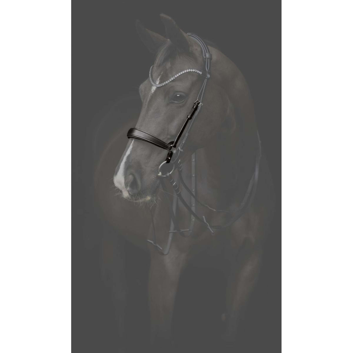 Catago Muserolle Gentle Noir