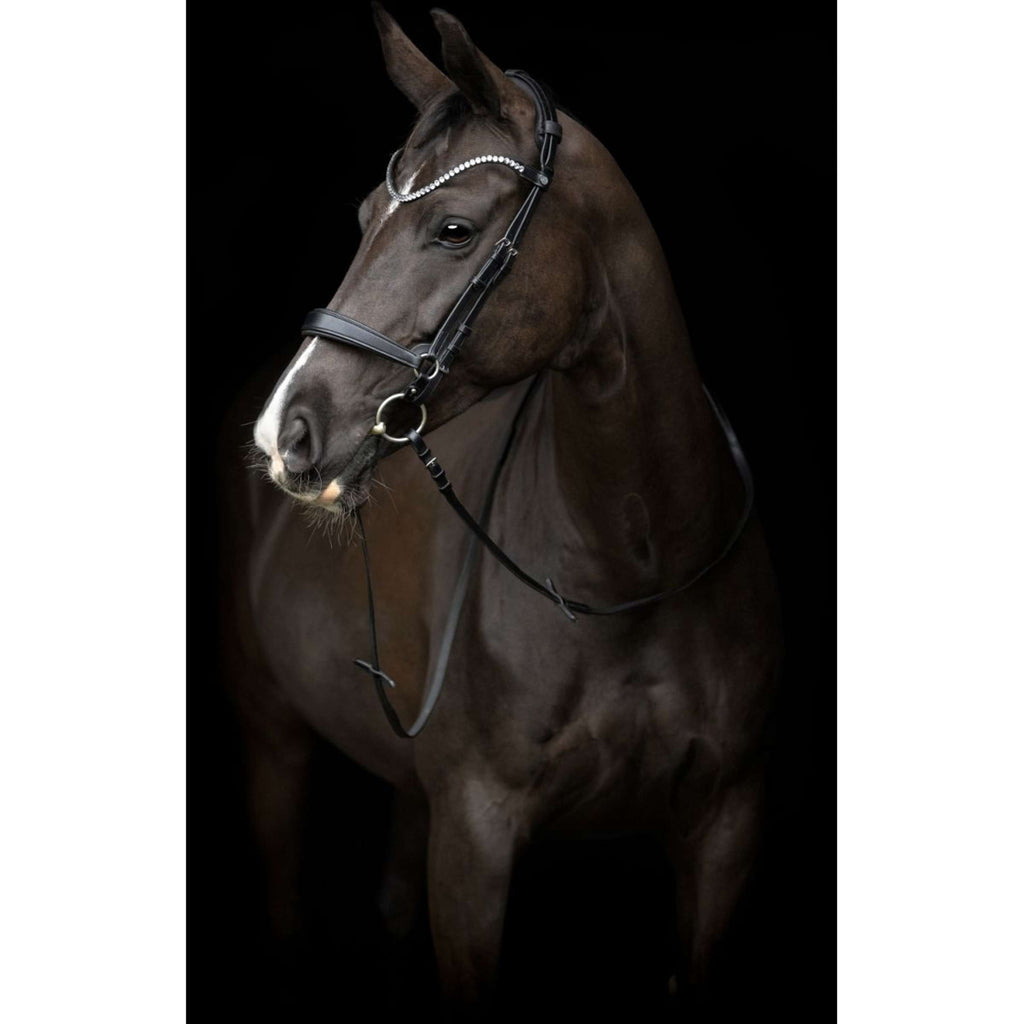 Catago Muserolle Gentle Noir