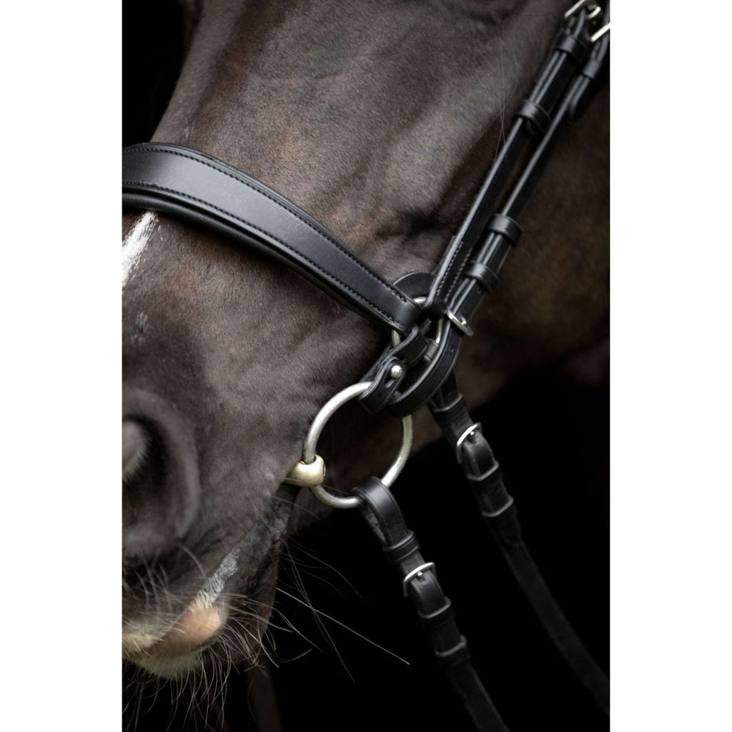 Catago Muserolle Gentle Noir