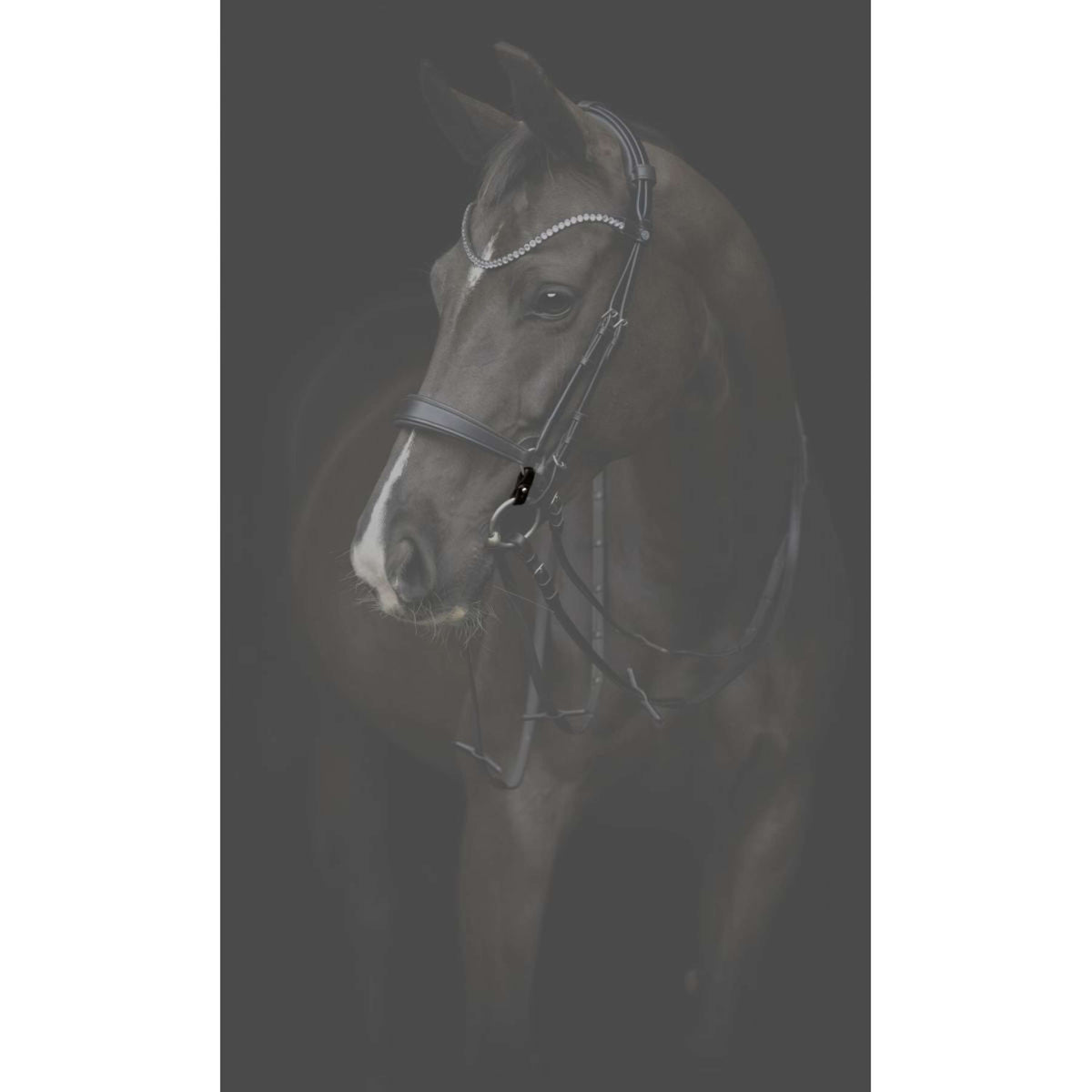 Catago Connecting Rings Gentle Marron