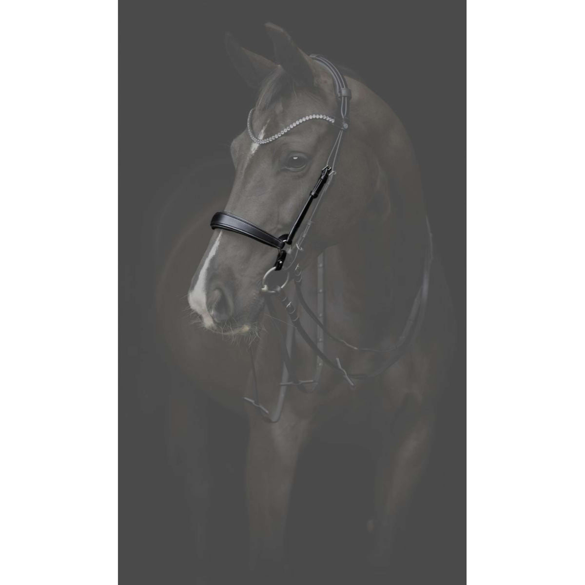 Catago Muserolle Gentle Marron