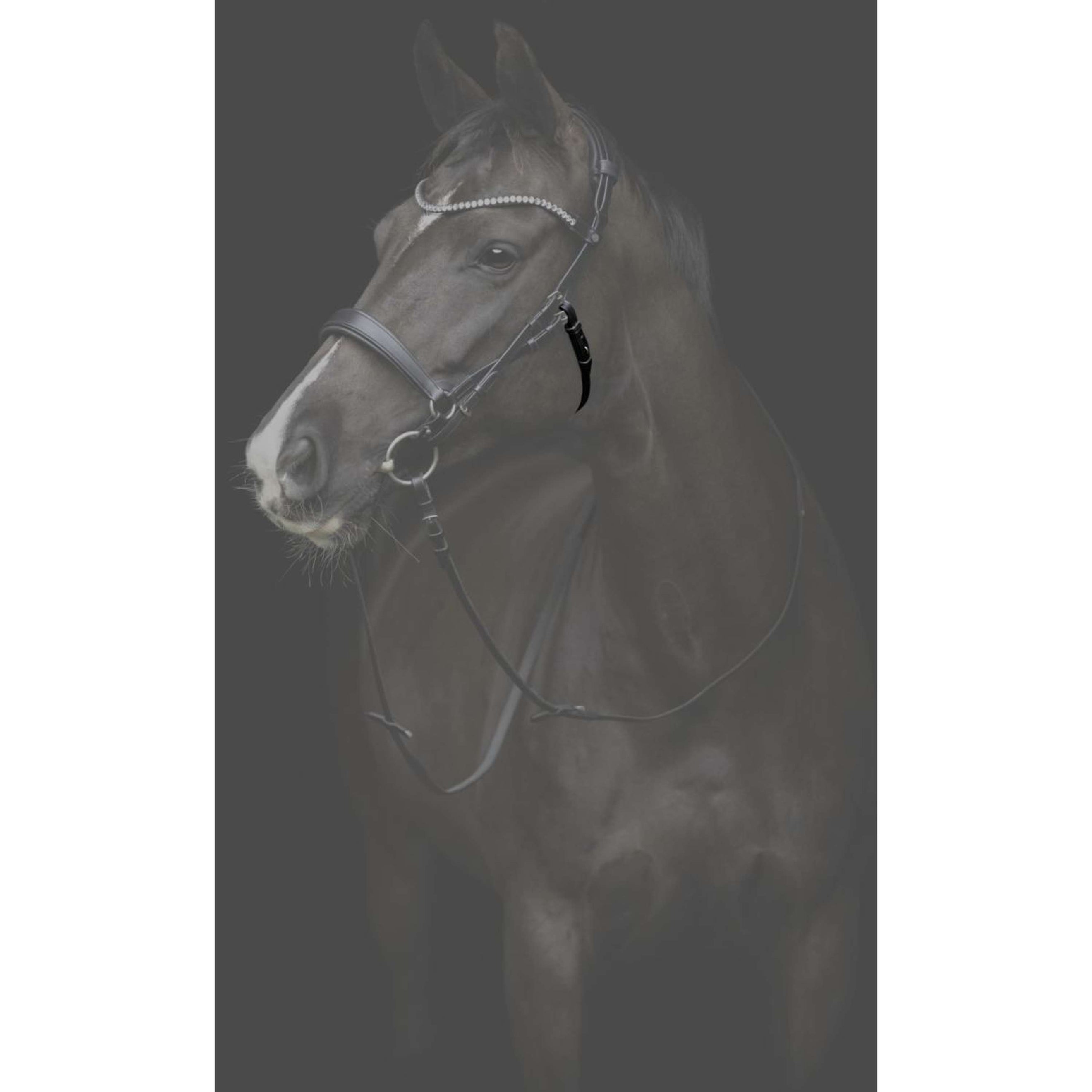 Catago Sous-Gorge Gentle Noir