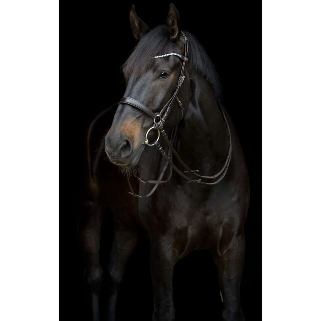 Catago Sous-Gorge Gentle Marron