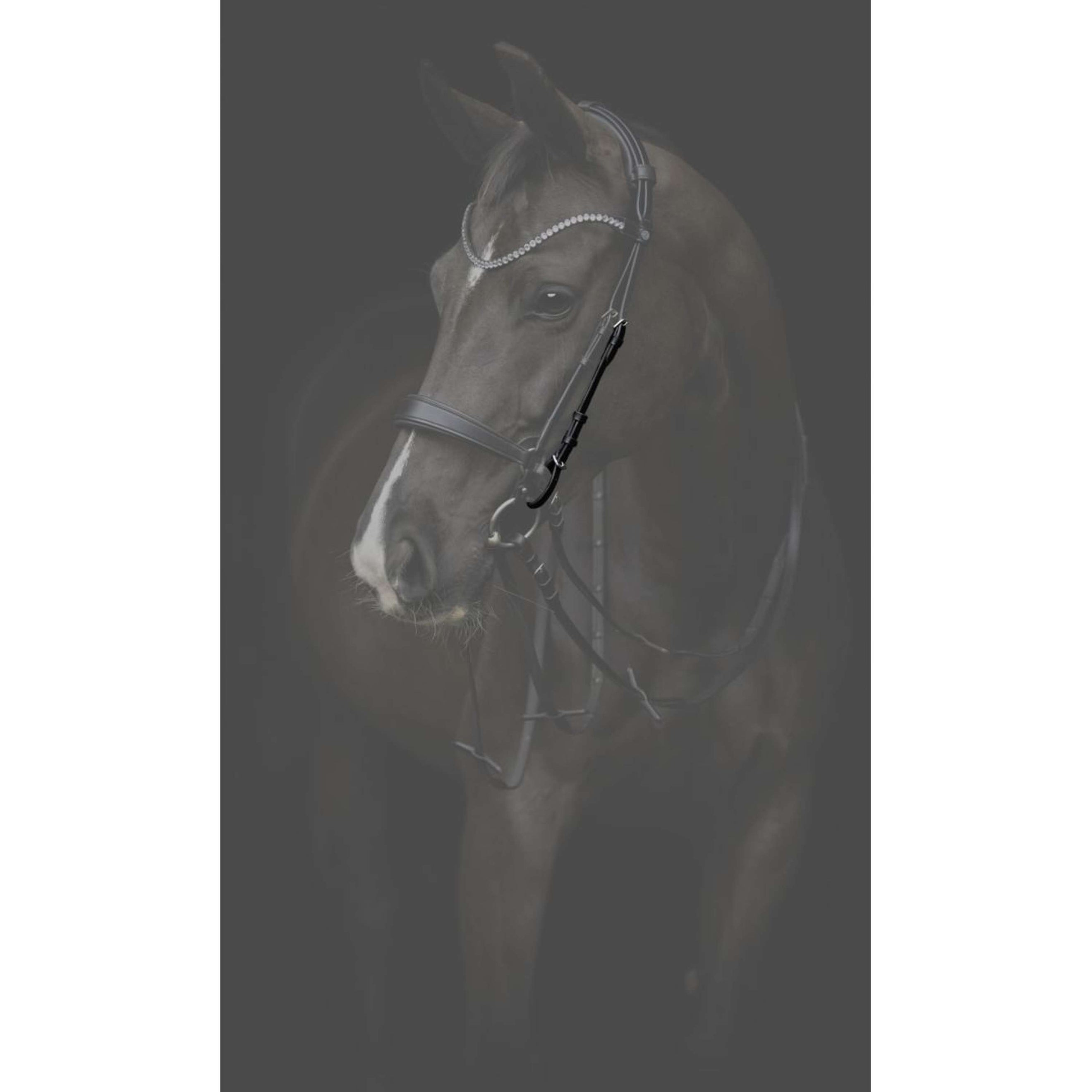 Catago Montants Gentle Marron Catago Montants Gentle Marron