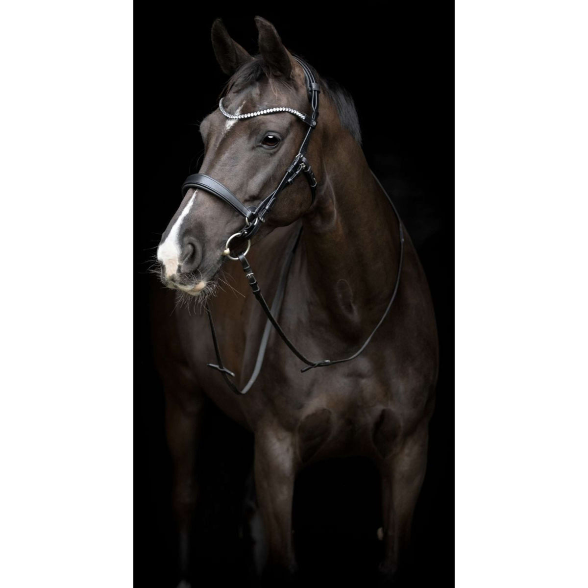 Catago Sous-Gorge Gentle Noir