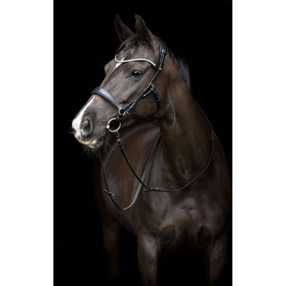 Catago Montants Gentle Noir