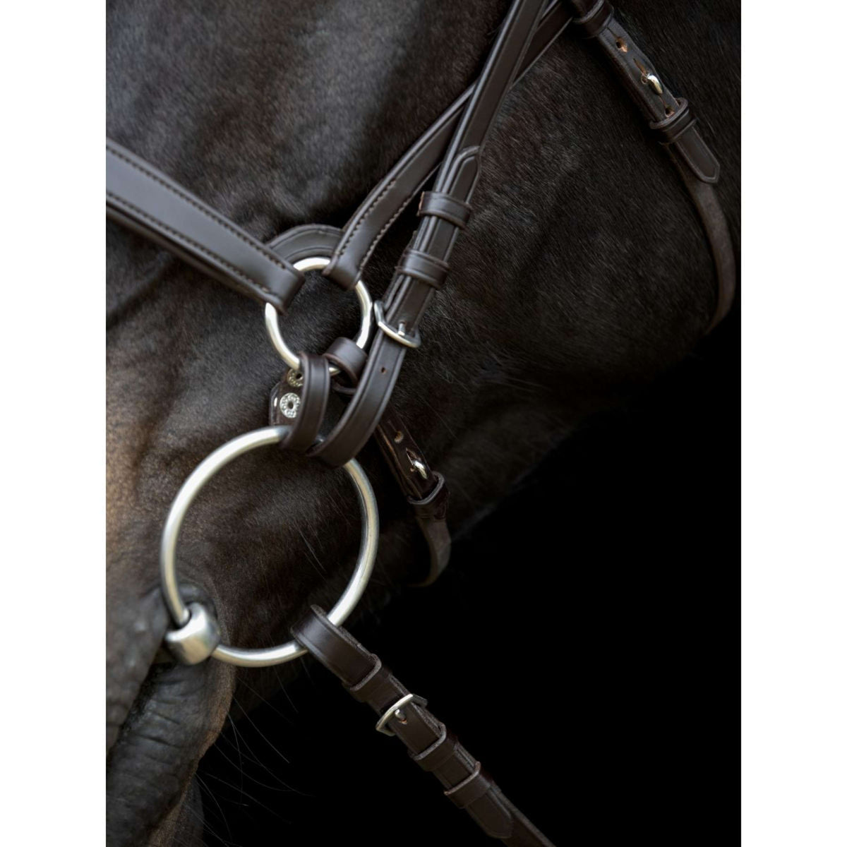 Catago Connecting Rings Gentle Marron