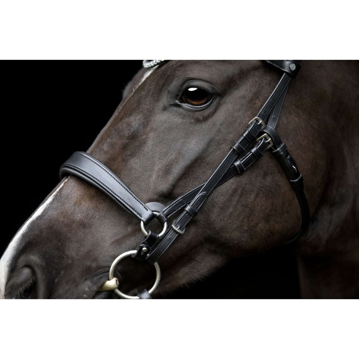 Catago Sous-Gorge Gentle Noir