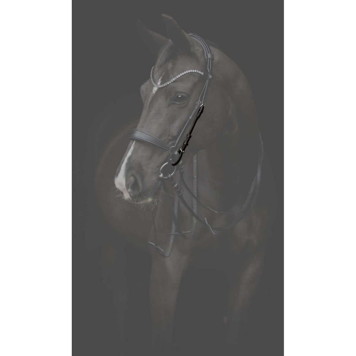 Catago Montants Gentle Noir