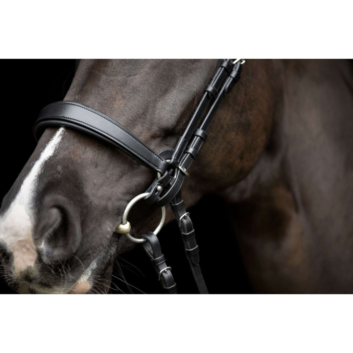 Catago Connecting Rings Gentle Noir