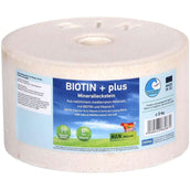 Animalixs Pierre à Lécher Biotin Plus