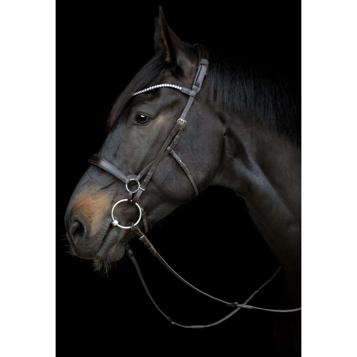 Catago Sous-Gorge Gentle Noir