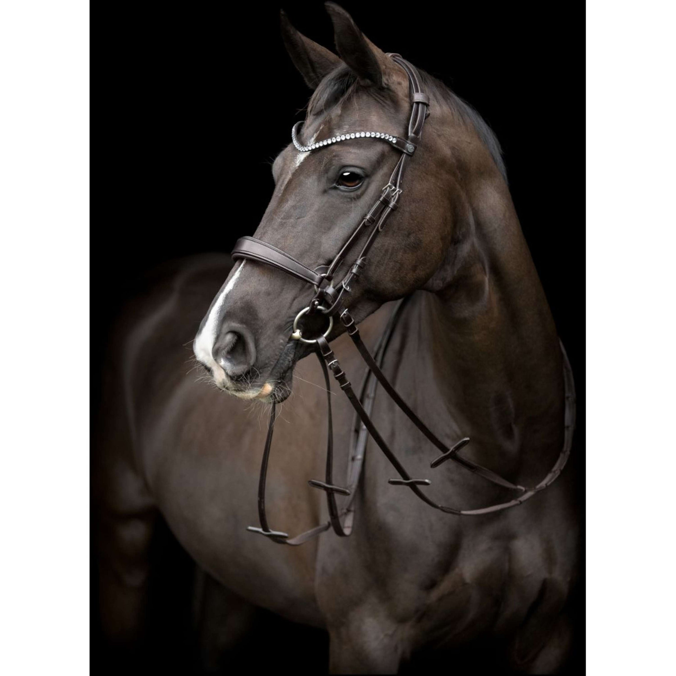 Catago Pièce de Tête Gentle Marron Catago Pièce de Tête Gentle Marron