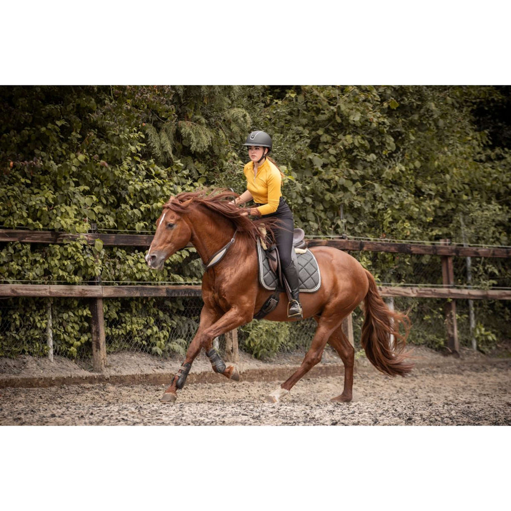 F.R.A. Rêne D'équilibre Whisper Marron