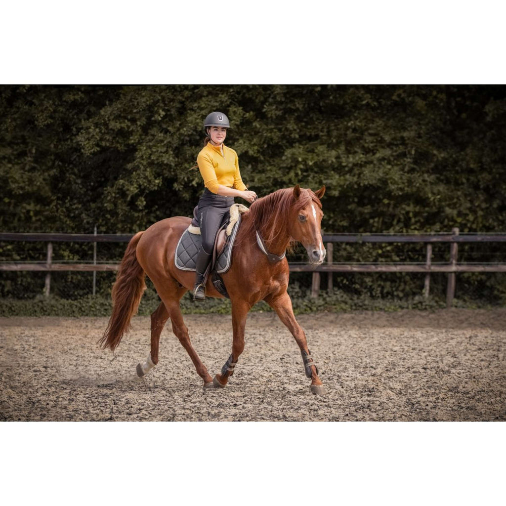 F.R.A. Rêne D'équilibre Whisper Marron