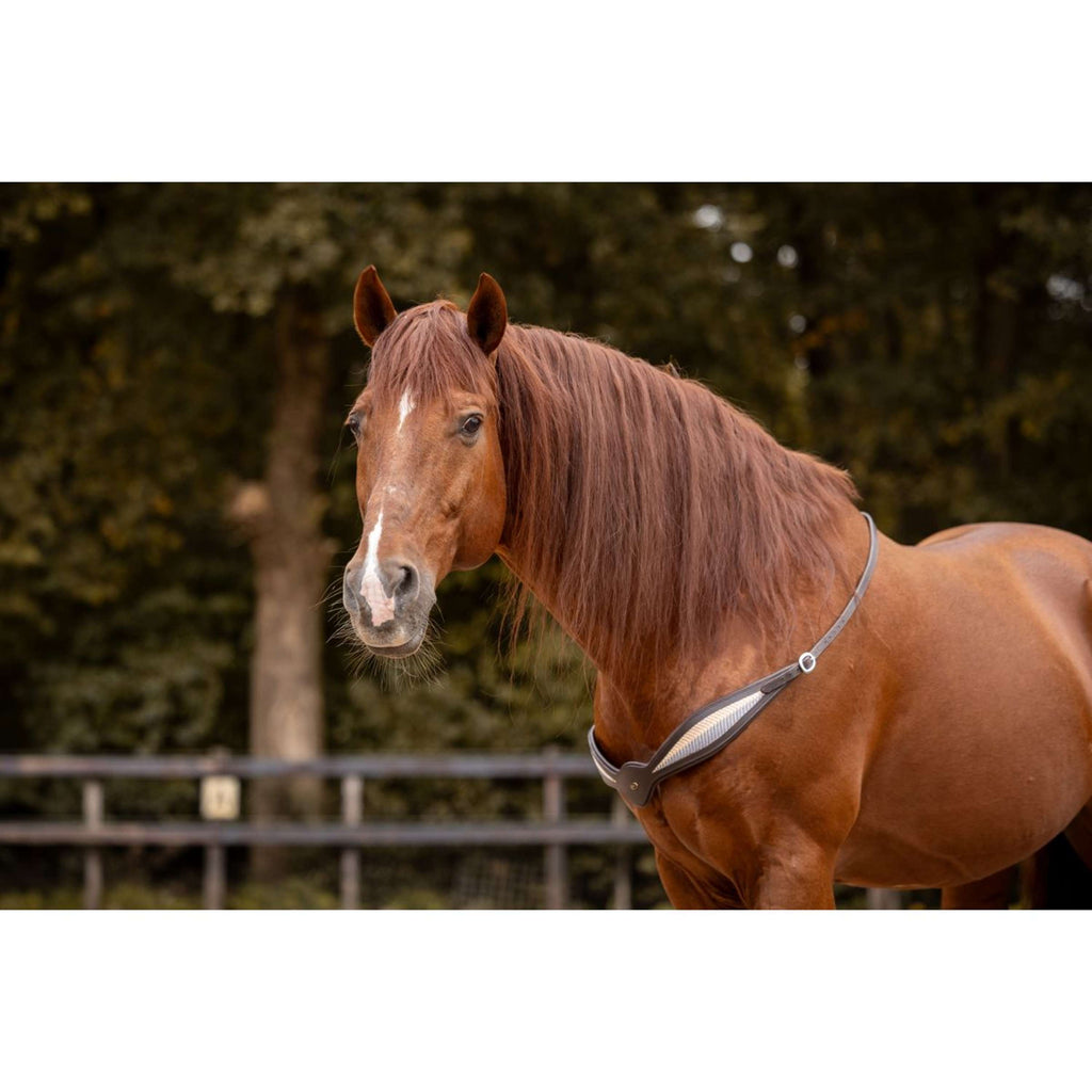 F.R.A. Rêne D'équilibre Whisper Marron