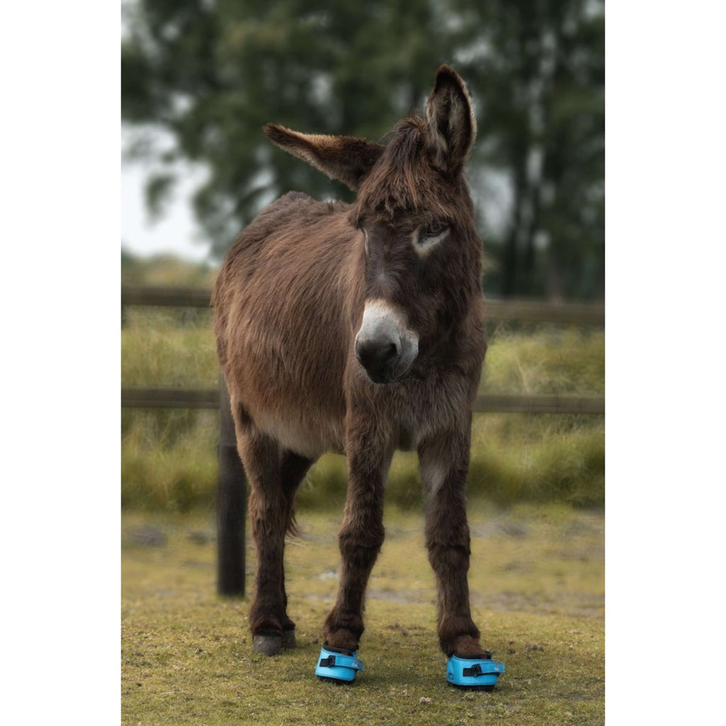 F.R.A. Cavallo Donkey/Long Ear Boot Turquoise