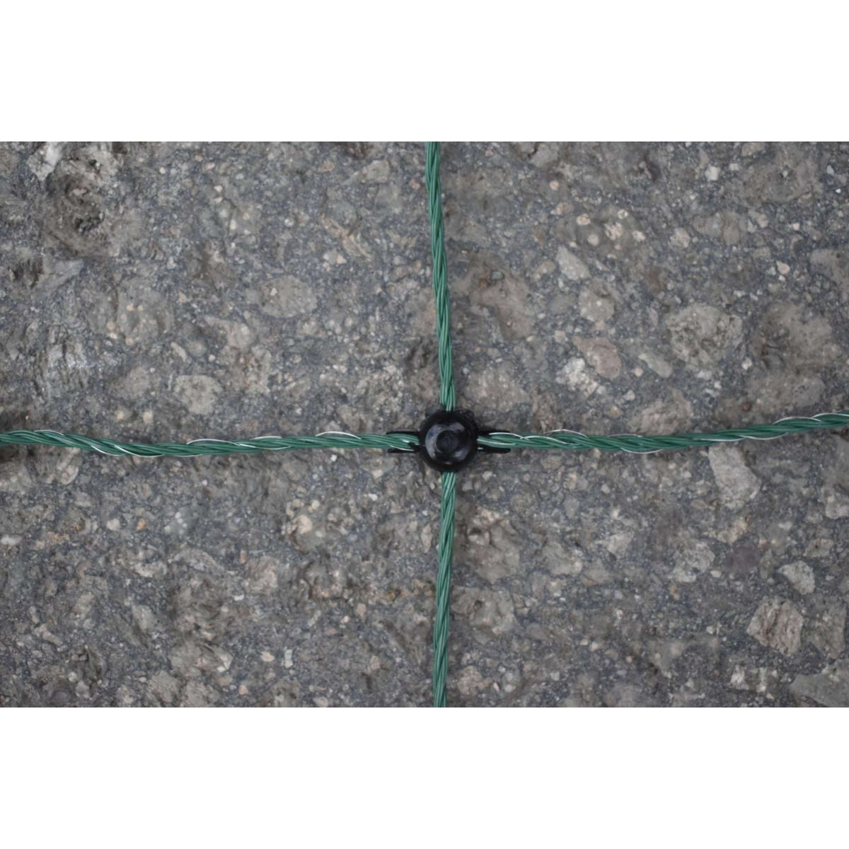 Euro-Netz Filet Avicole Vert