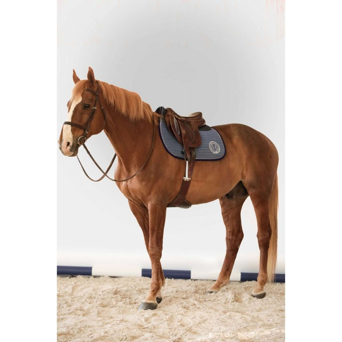 Harcour Tapis de Selle Karembar Dressage Iced Coffee