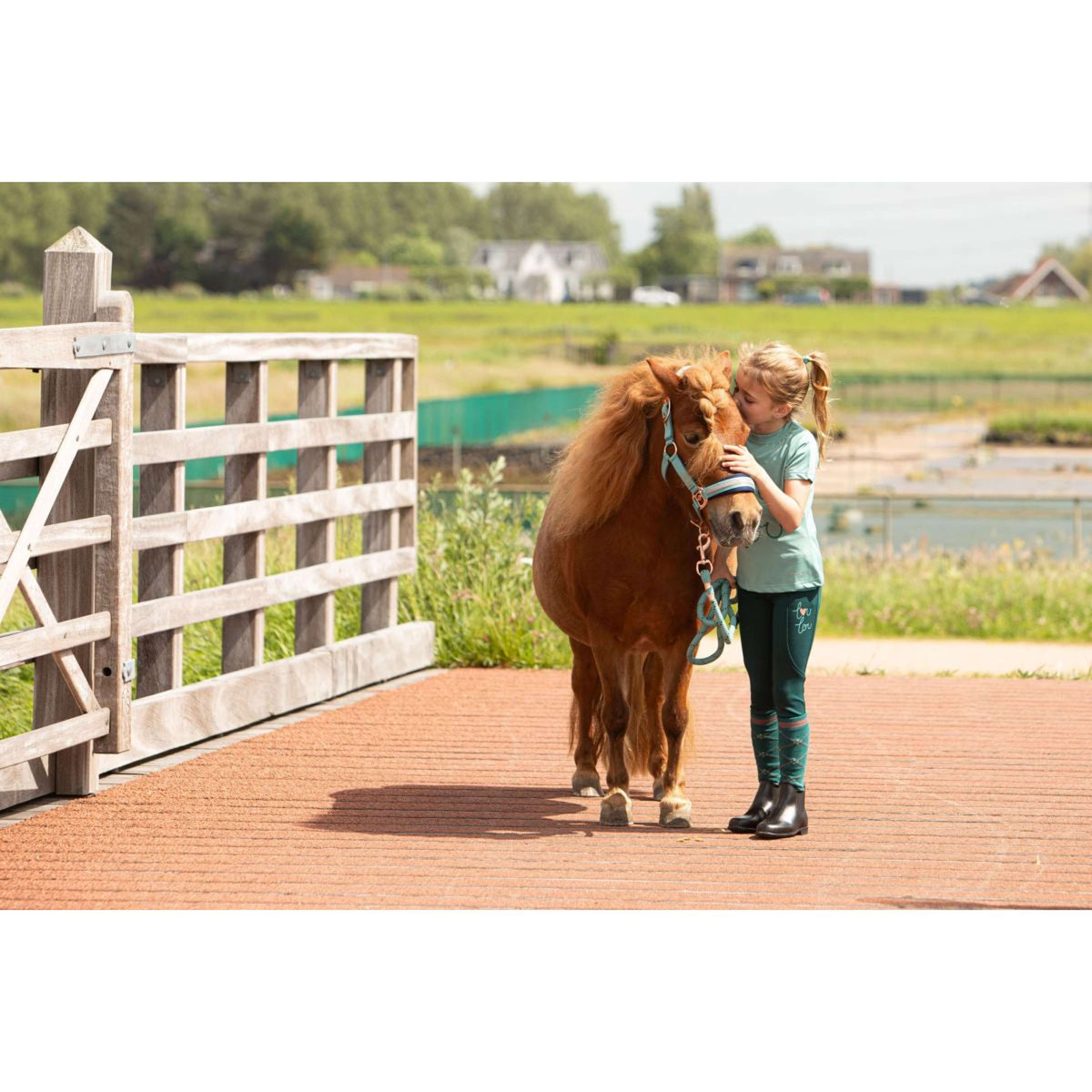 Harry's Horse Legging d'Équitation LouLou25 Daisy Full Grip Bayberry