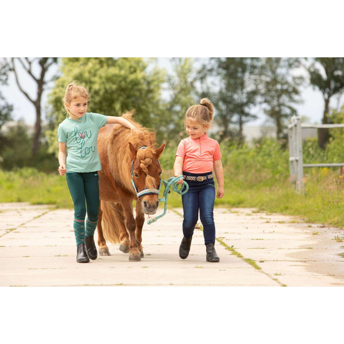 Harry's Horse Legging d'Équitation LouLou25 Daisy Full Grip Blueberry