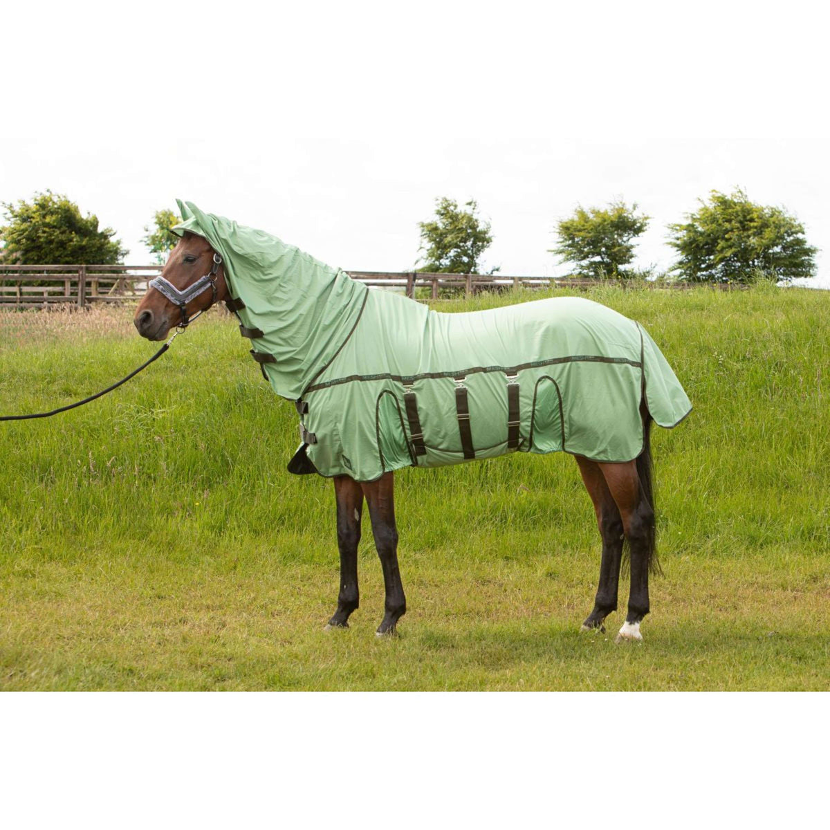 Harry's Horse Couverture Anti-Mouches Mesh-Pro Belly Gui