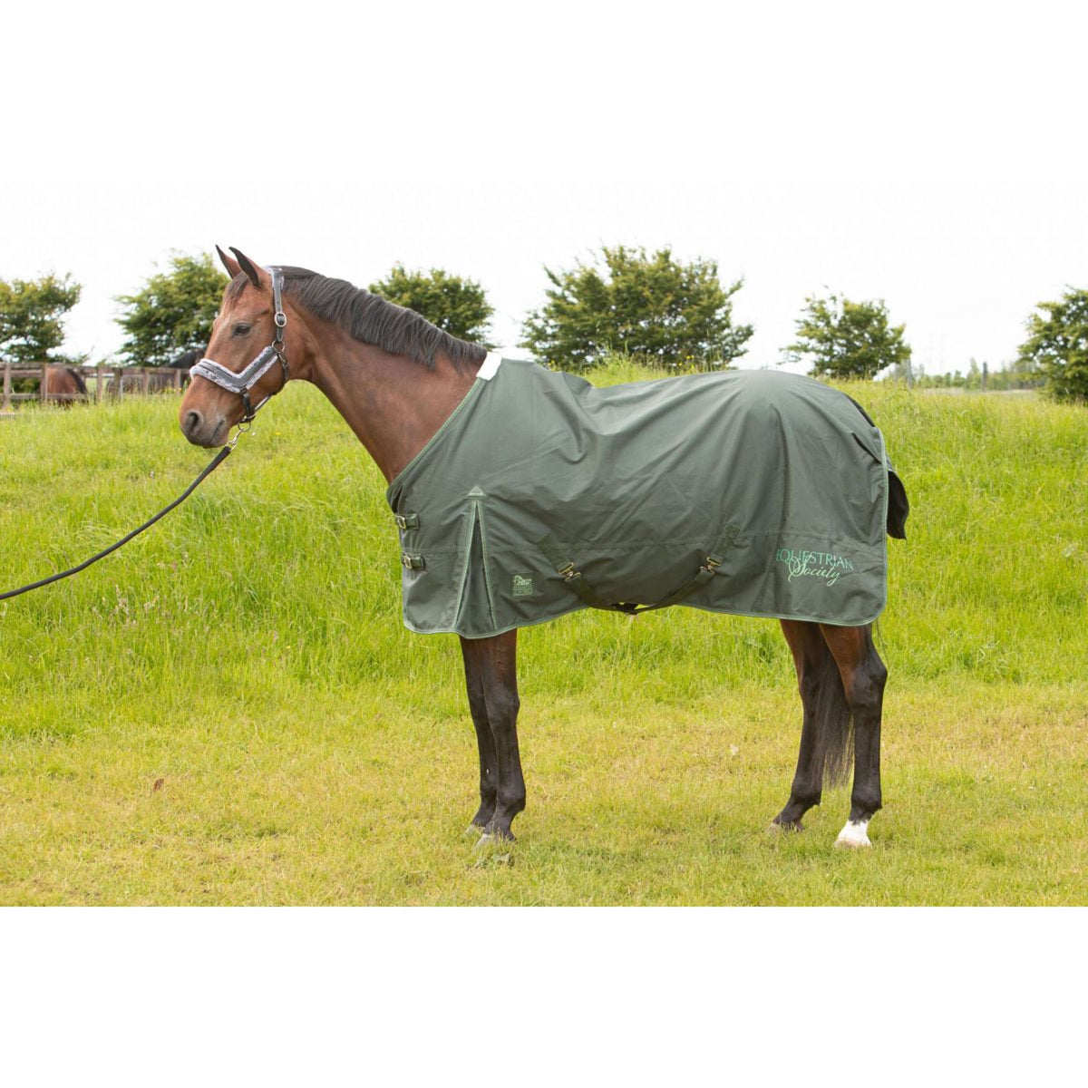 Harry's Horse Couverture Imperméable Thor Rosin