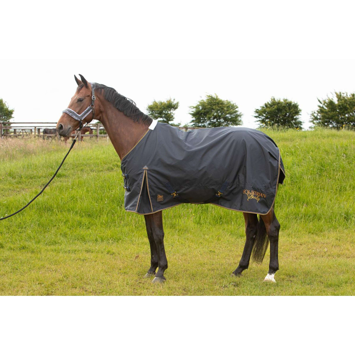 Harry's Horse Couverture Imperméable Thor Fleece Blueberry