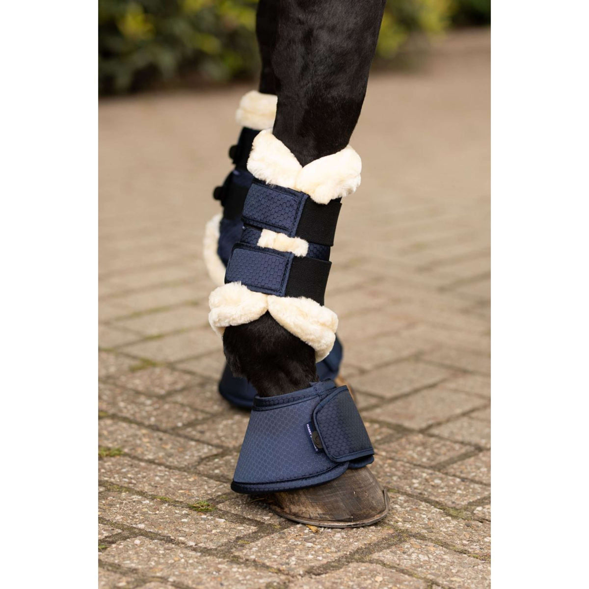 Harry's Horse Guêtres Flextrainer Hexagon Blueberry