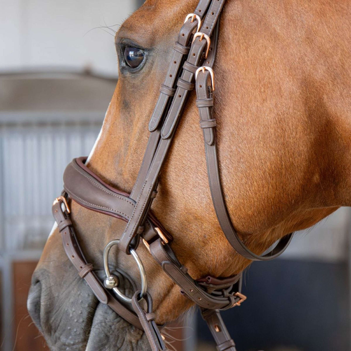 Harry's Horse Bride Bombastic Crystals Marron