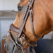 Harry's Horse Bride Bombastic Crystals Marron