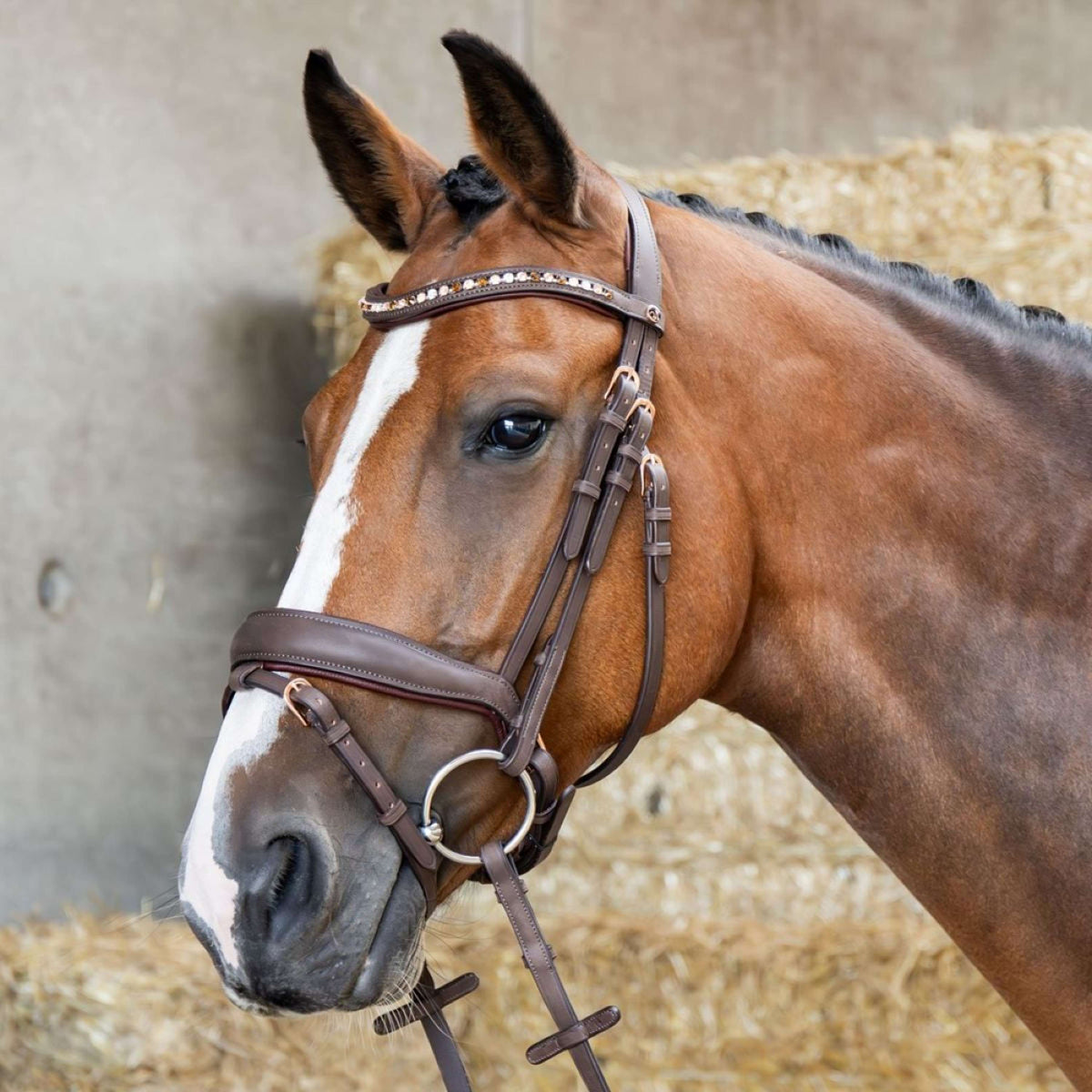 Harry's Horse Bride Bombastic Crystals Marron