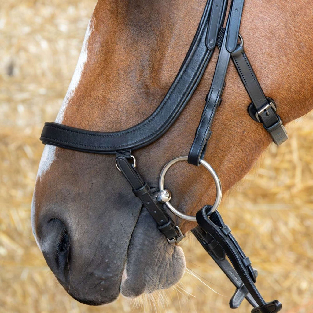 Harry's Horse Bride Anatomic Black Crystal Noir
