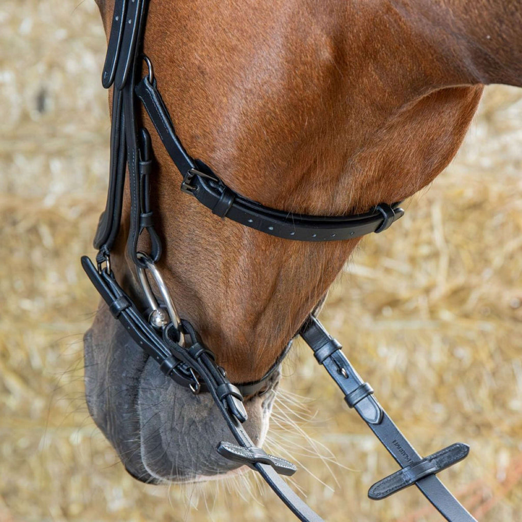 Harry's Horse Bride Anatomic Black Crystal Noir