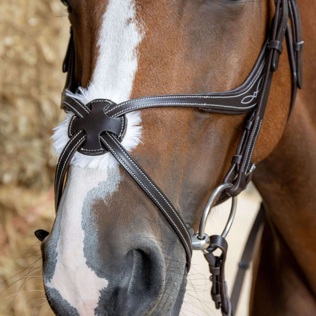 Harry's Horse Bride Mexicaine Anatomic Marron
