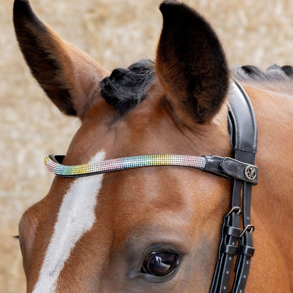 Harry's Horse Frontal Rainbow arc-en-ciel