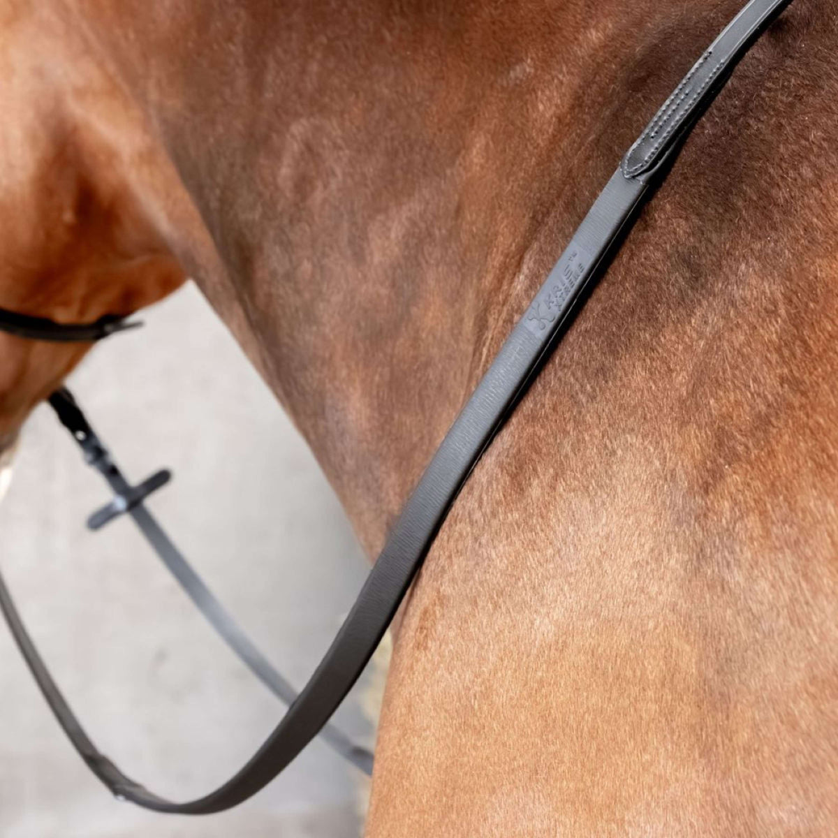 Harry's Horse Rênes Kris Xtreme Noir