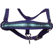 Harry's Horse Ensemble Licol Diva Violet Wisteria