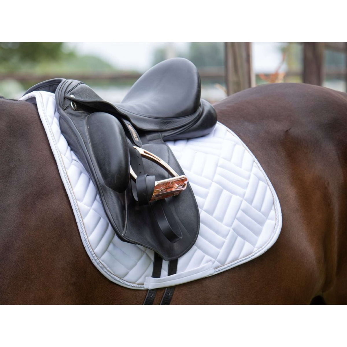 Harry's Horse Tapis de Selle EQS Burgundy Dressage Blanc