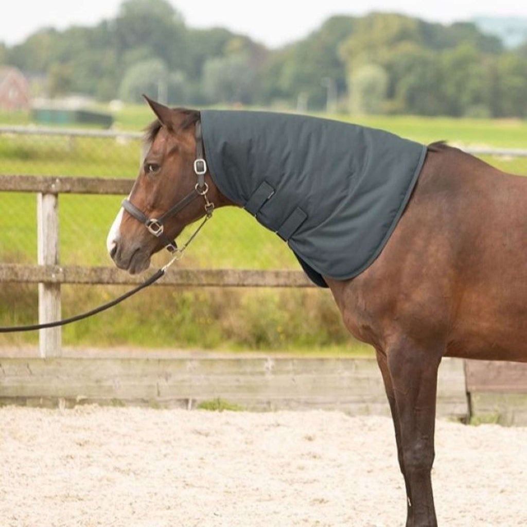 Harry's Horse Couvre-Cou Thor 200 Ébène