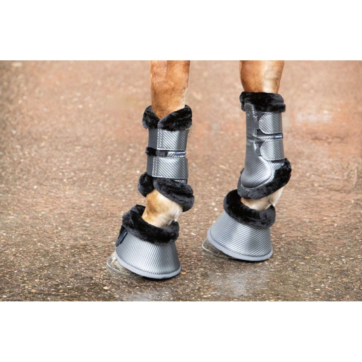 Harry's Horse Cloches d'Obstacles Denici Cavalli Shadow Noir/Sable