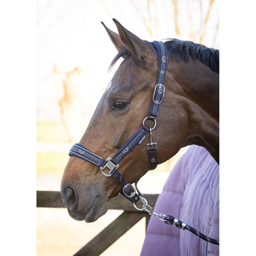 Harry's Horse Ensemble Licol EQS Marin foncé