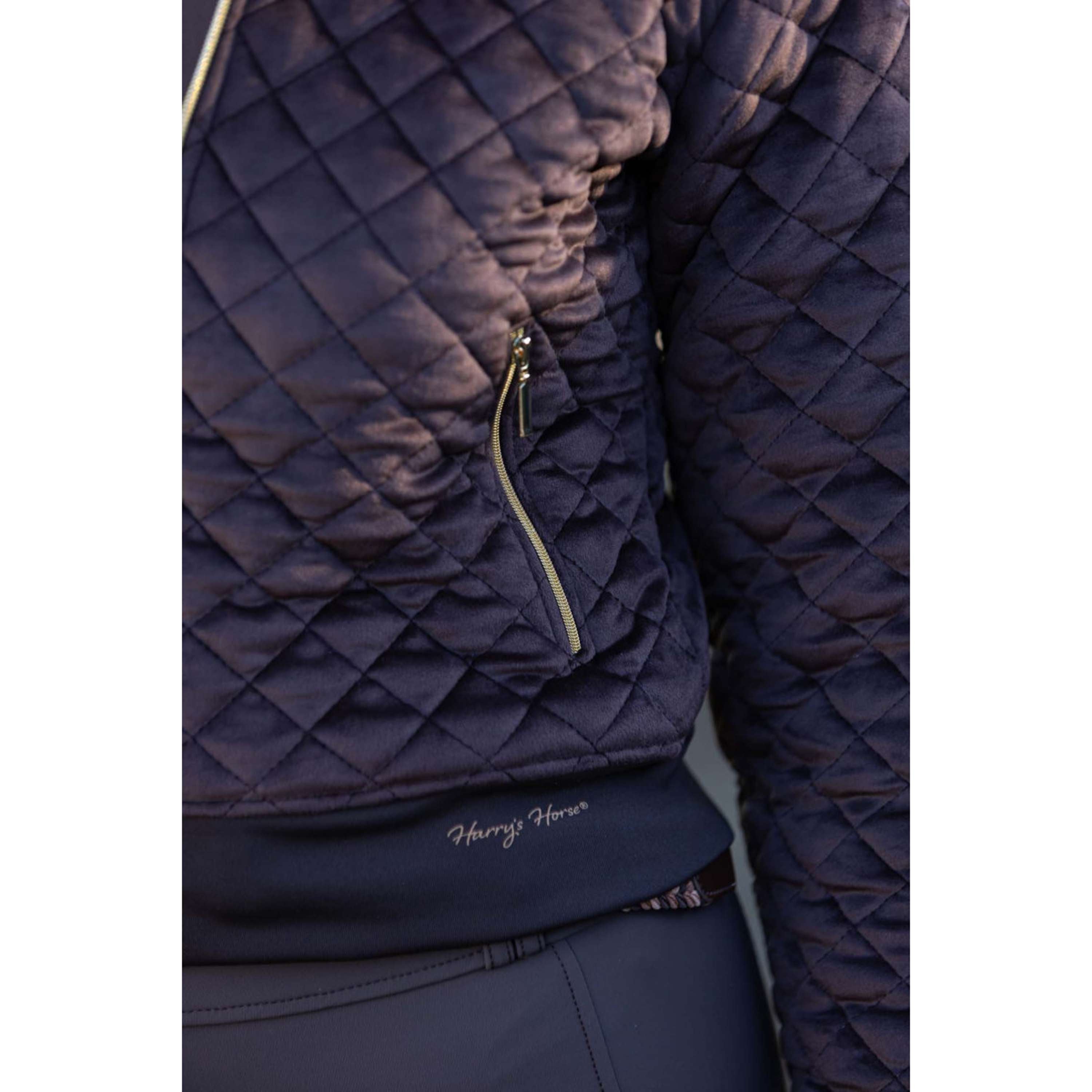 Harry's Horse Veste Bomber Classy Bracken